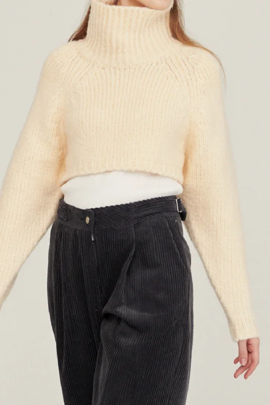 Cashmere – Luxurious, soft wool from goatsWhitney Two-way Cropped Sweater